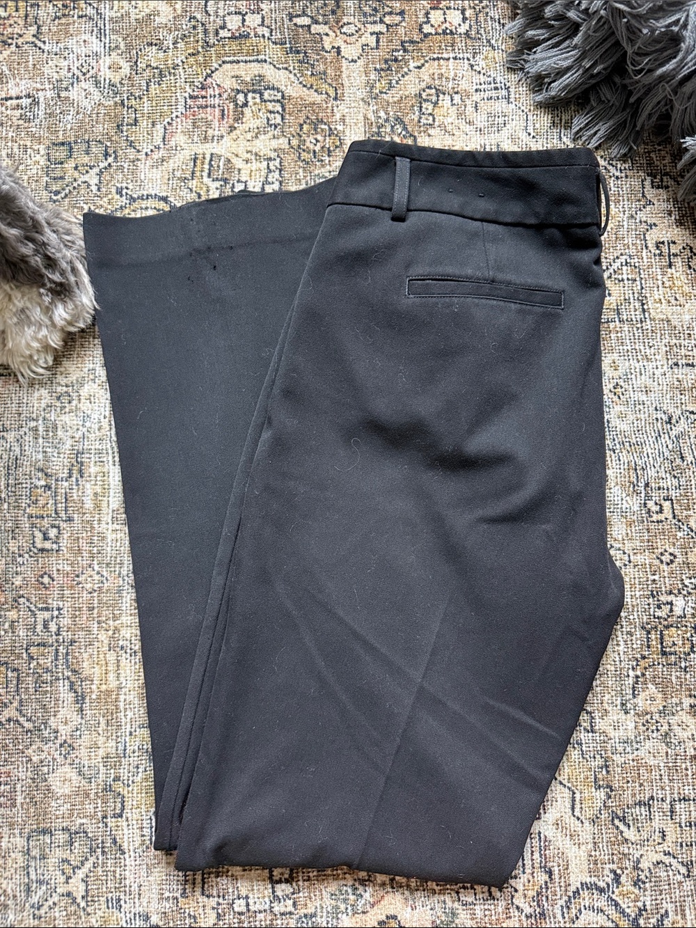Express Black Women's Dress Pants